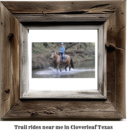 trail rides near me in Cloverleaf, Texas